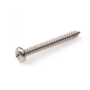 Net binnen | Hoenderdaal plaatschroef RVS A2 cilinderkop CK Phillips PH 3 DIN 7981C zelftappend 6.3x19 mm 100 stuks 0332.30.52920